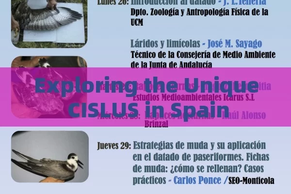 Exploring the Unique CISLUS in Spain